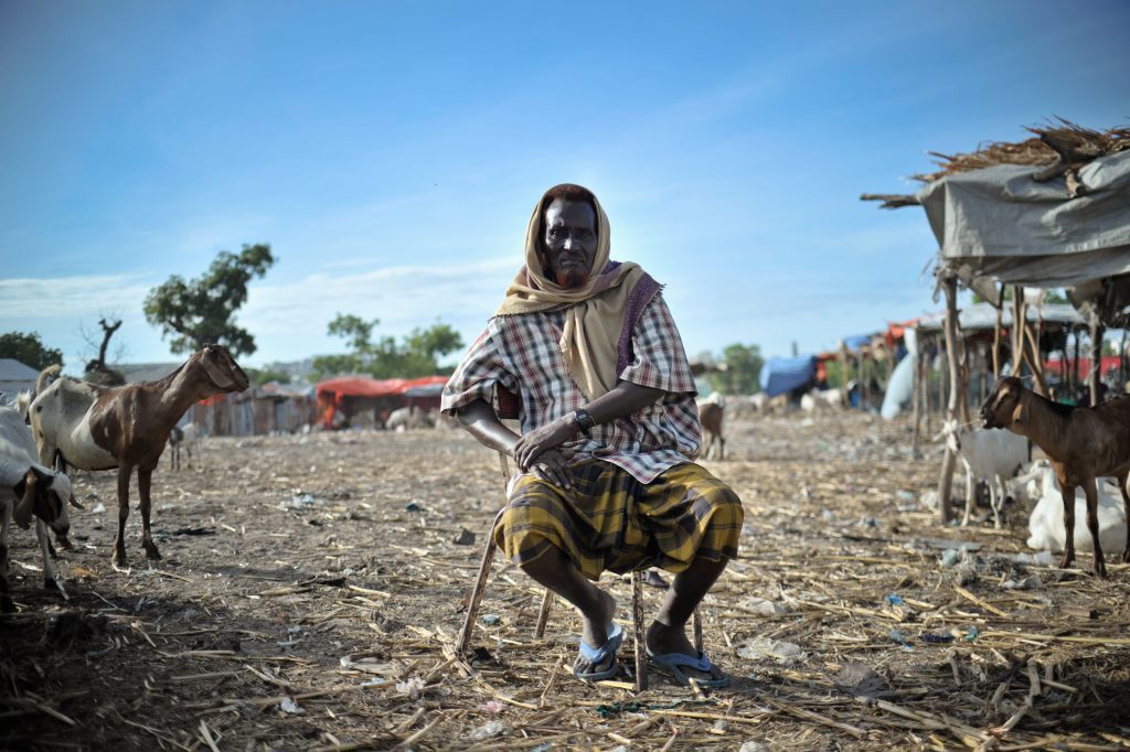 Transnational Herder-Farmer Conflicts And Social Instability In The ...